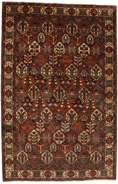 Matta Bakhtiari Garden 317x206
