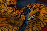 Gabbeh - Qashqai Persisk matta 170x103 - Bild 7