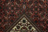 Bidjar Persisk matta 248x156 - Bild 6
