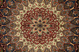 Täbriz Persisk matta 249x206 - Bild 9